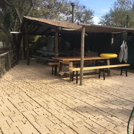 圣地亚哥La Quinta Bruja住宿加早餐旅馆 外观 照片