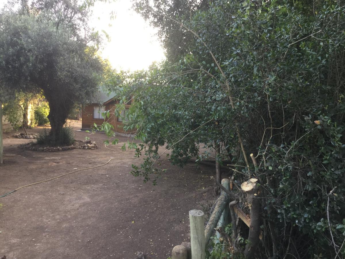 圣地亚哥La Quinta Bruja住宿加早餐旅馆 外观 照片